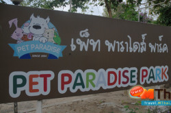 Pet Paradise Park